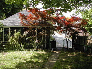 backyard and garage